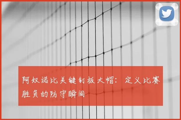 阿奴诺比关键钉板大帽:定义比赛胜负的防守瞬间