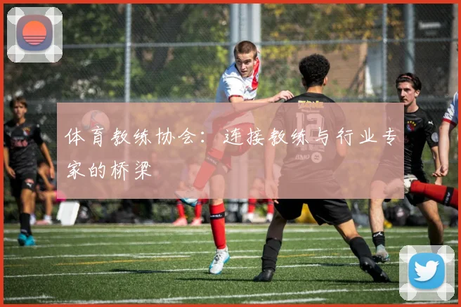 体育教练协会：连接教练与行业专家的桥梁