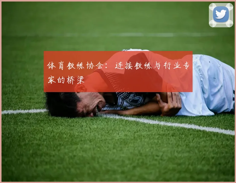 体育教练协会：连接教练与行业专家的桥梁