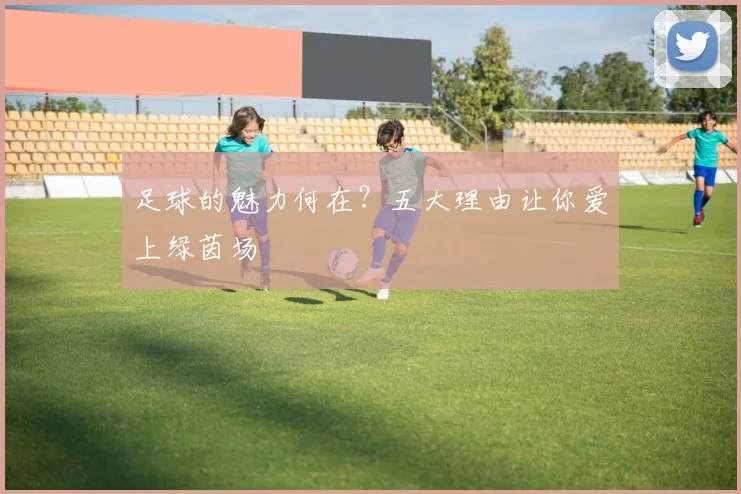 足球的魅力何在?五大理由让你爱上绿茵场