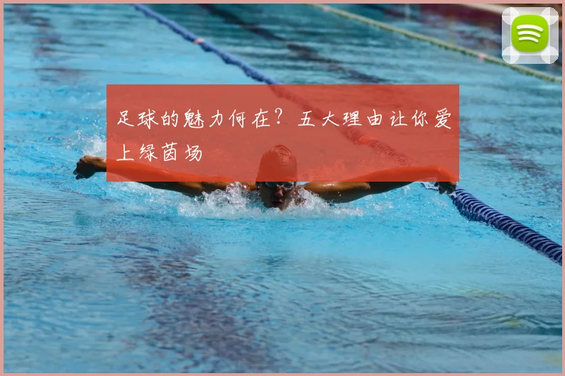 足球的魅力何在?五大理由让你爱上绿茵场